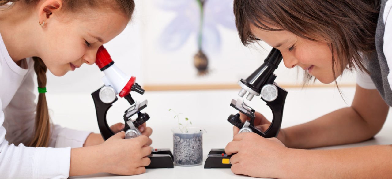 микроскопы детские в Севастополе